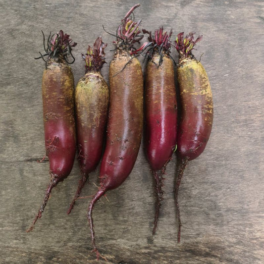 rote Beete (Bund)