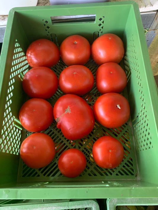 Fleischtomaten (1kg)