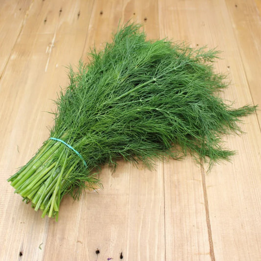 Dill (100g)