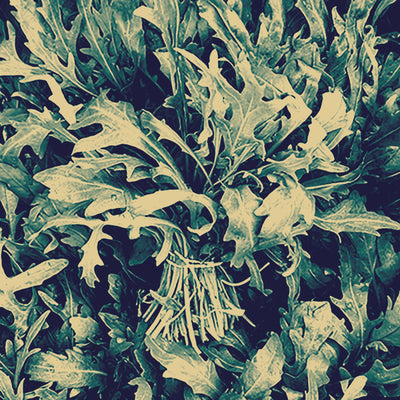 Rucola (250g)