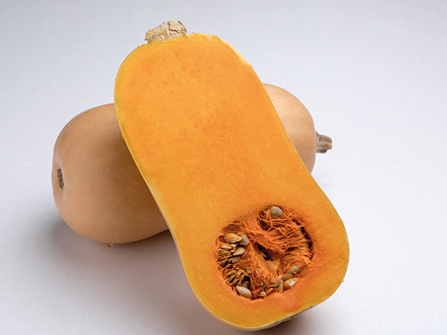 Tiana - Butternut Kürbis (Pflanze)