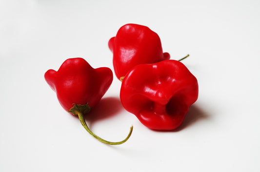 Habanero rot (Pflanze)