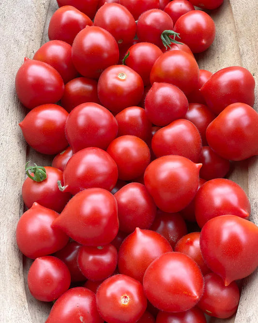 Cocktail Tomaten Ruthje (Pflanze)